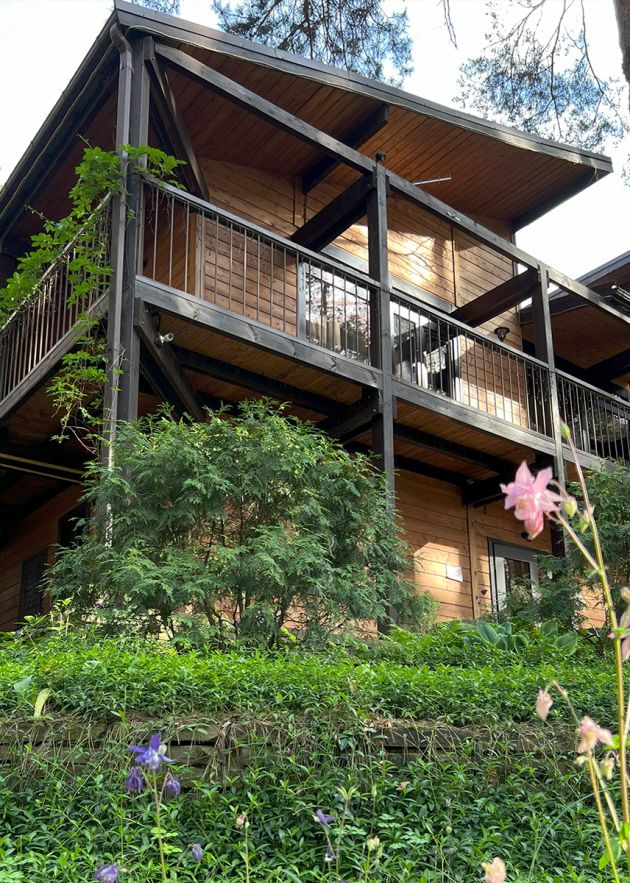 Территория и атмосфера базы отдыха "Аркадия" в сосновом лесу - деревянный корпус и зелёные насаждения