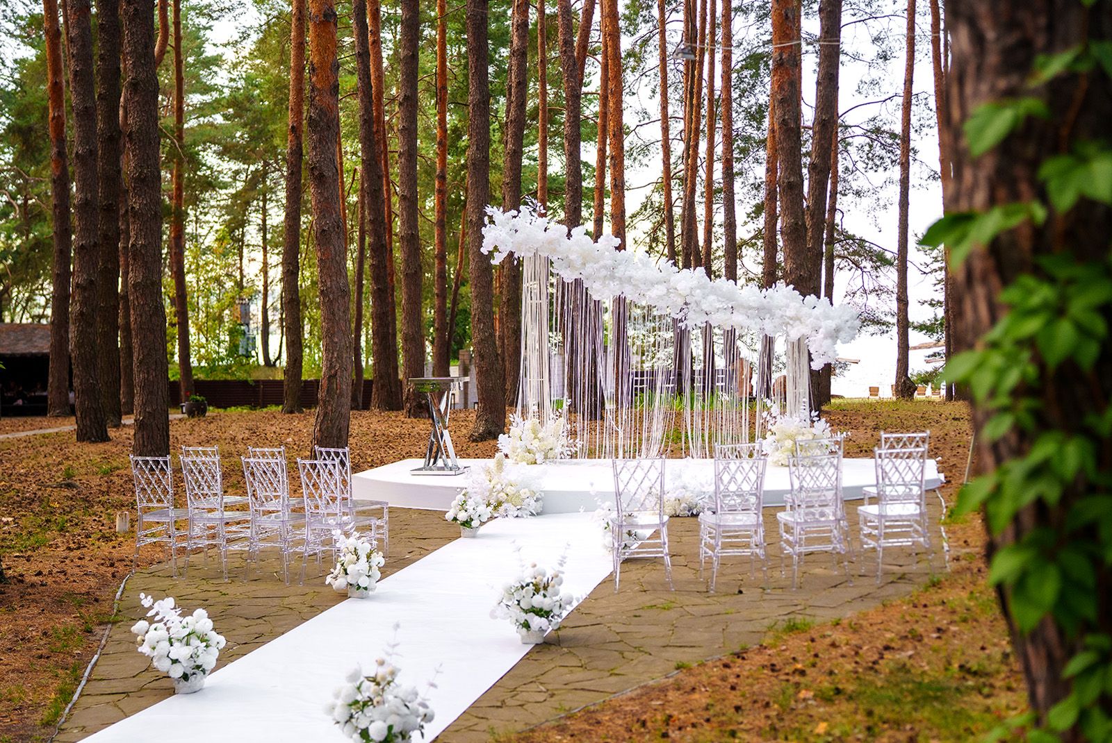 Свадебная выездная церемония на природе возле сосен