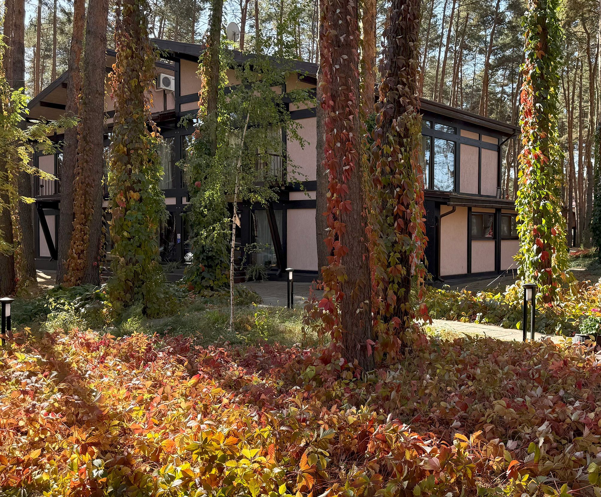 Современные корпуса базы отдыха Аркадия среди соснового леса осенью