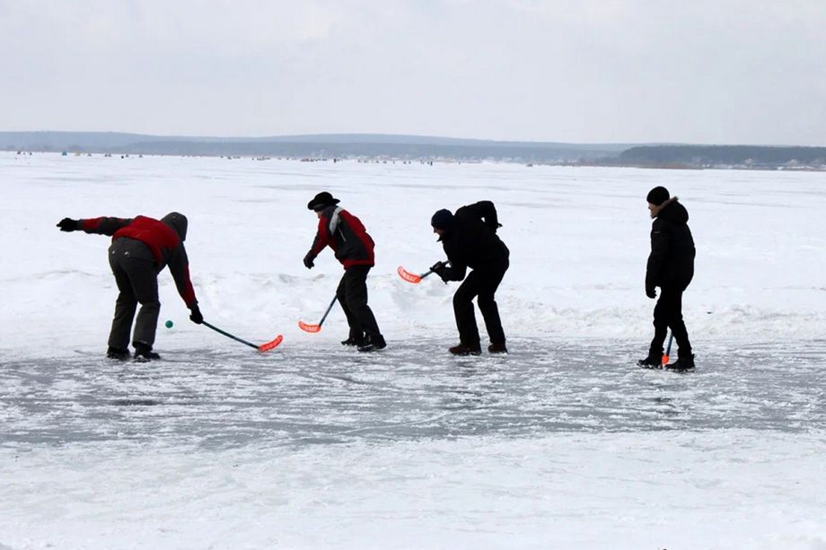 Прогулки и зимние активности на базе отдыха «Аркадия»