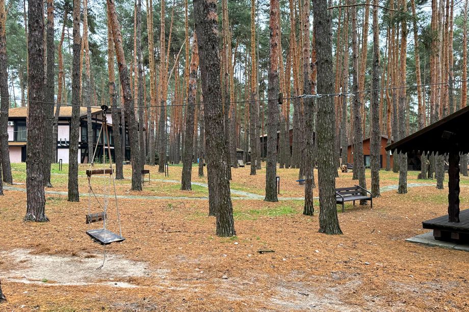 Прохождение верёвочного городка в сосновом лесу «Аркадии»