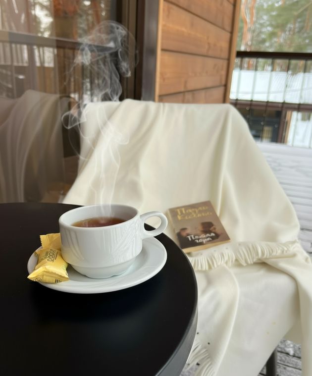 двухместный номер Аркадия Белгород, интерьер двухместного номера, балкон с видом на сосновый лес