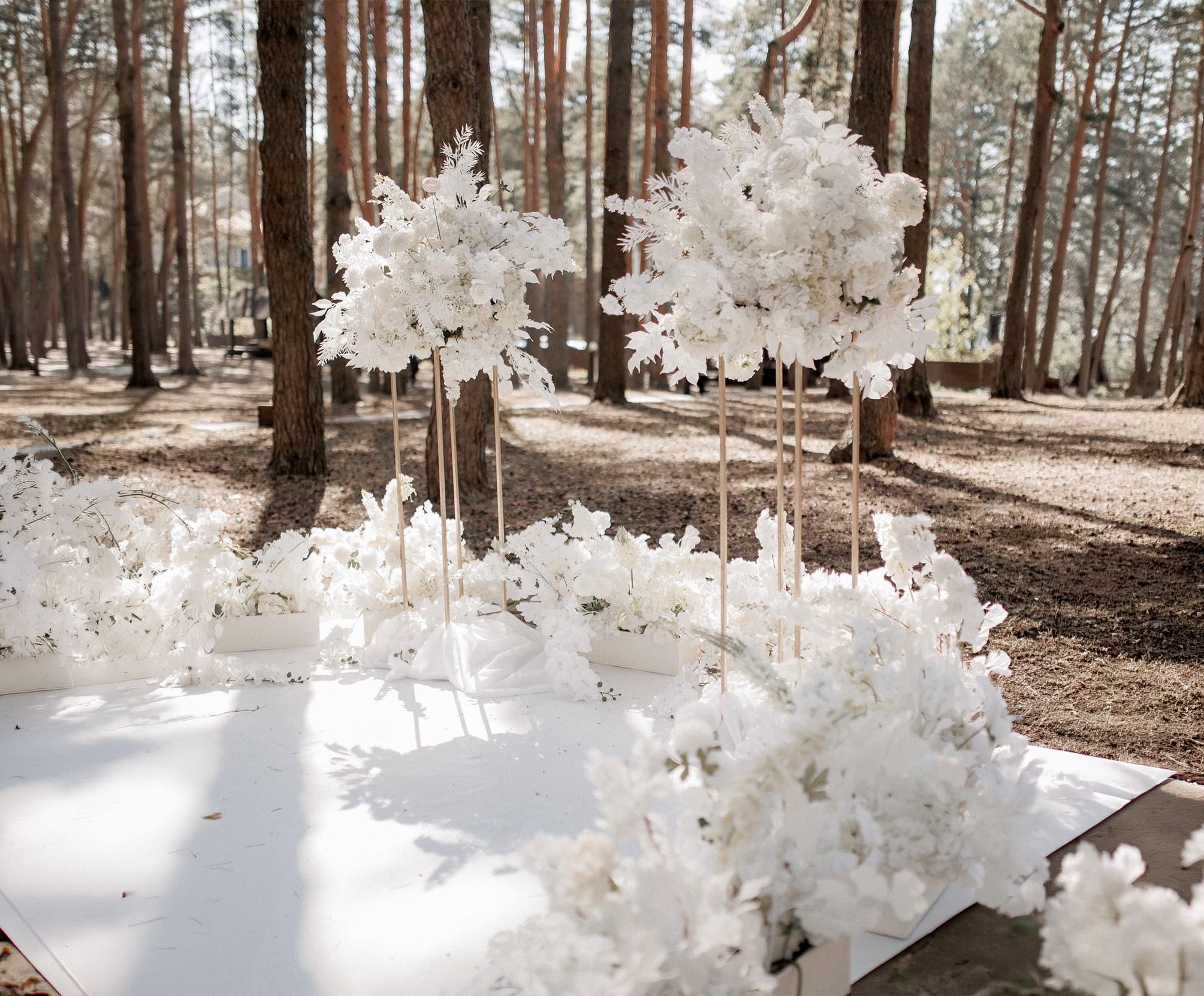Фотозона воздушная на базе отдыха «Аркадия» возле Белгорода