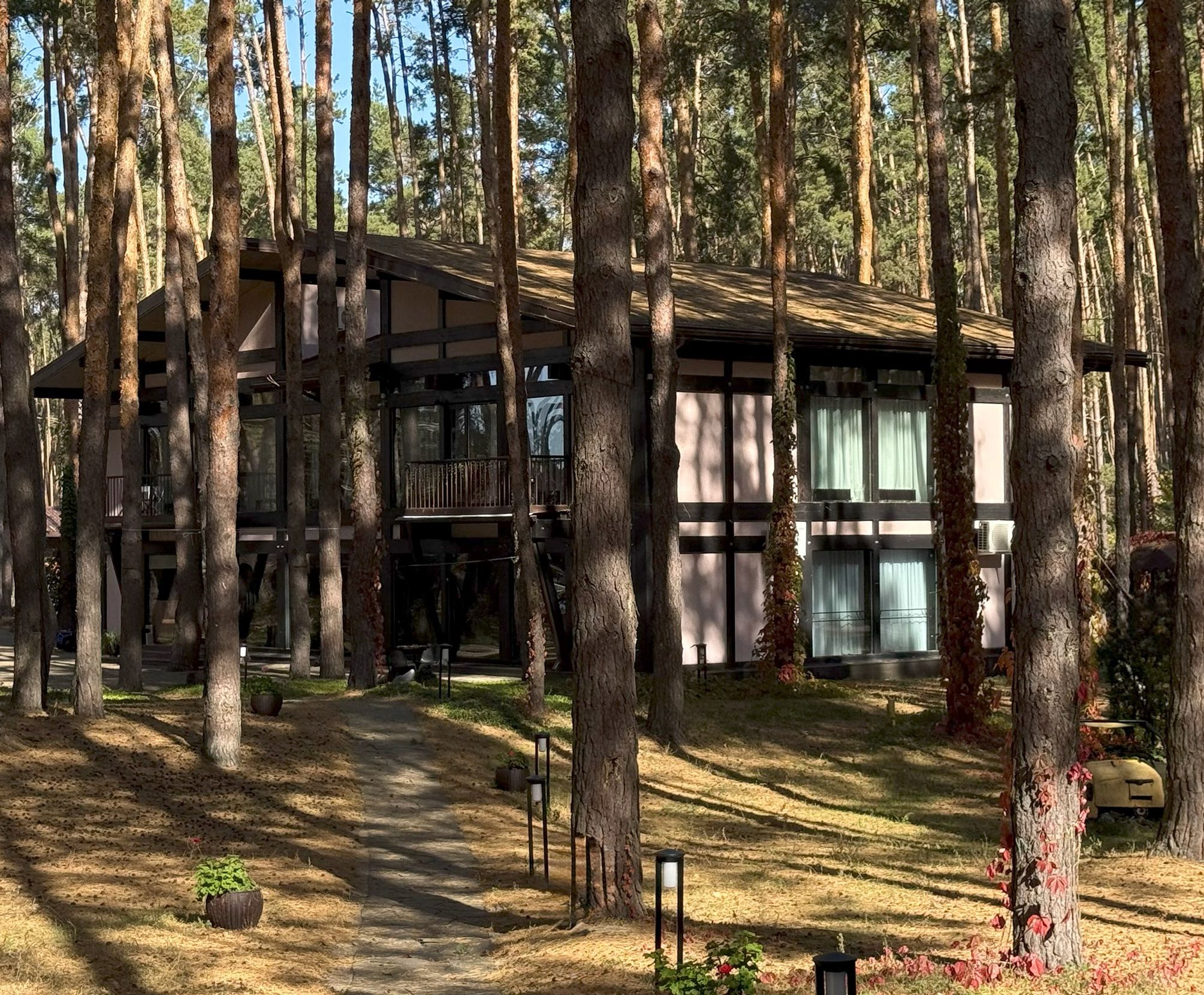 Архитектура корпусов базы отдыха среди высоких сосен