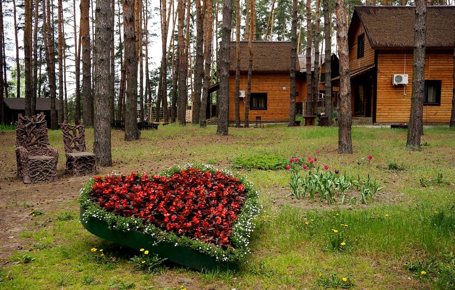 домики для компании на базе отдыха "Аркадия" в Белгородской области