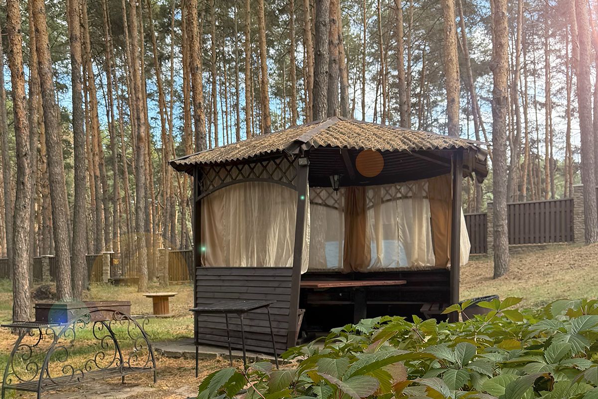 Дневной отдых на базе отдыха «Аркадия»