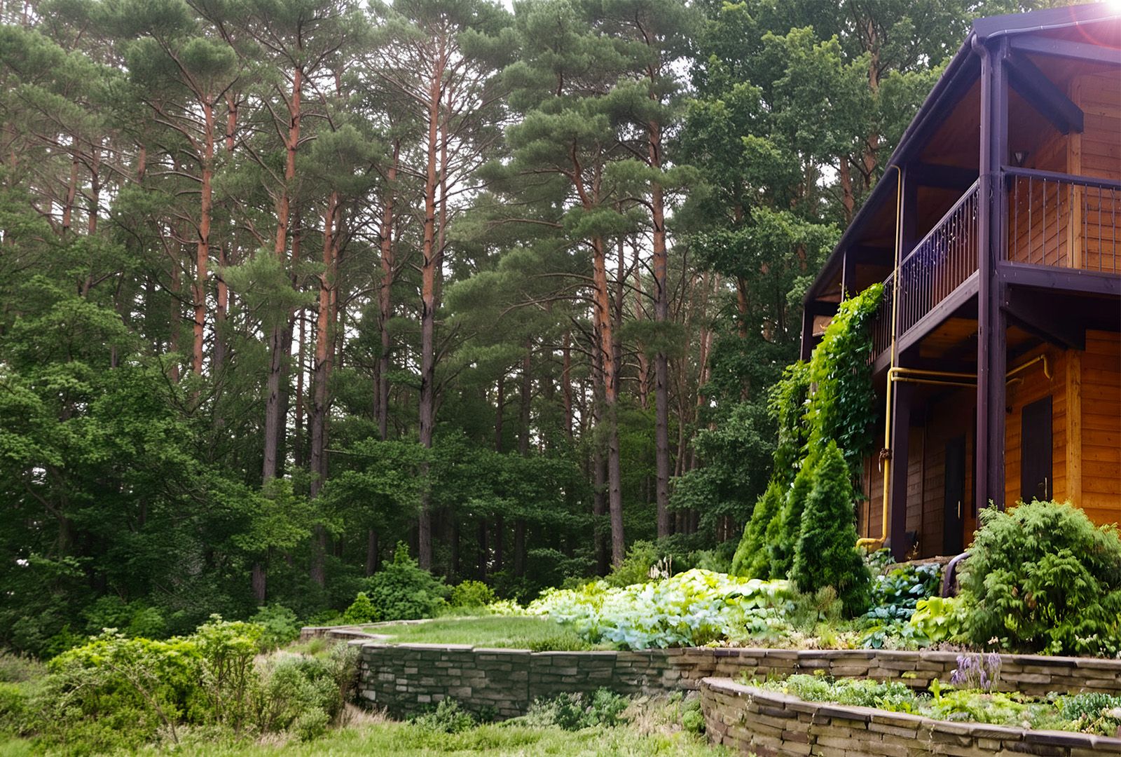 Отельный комплекс на базе отдыха "Аркадия"