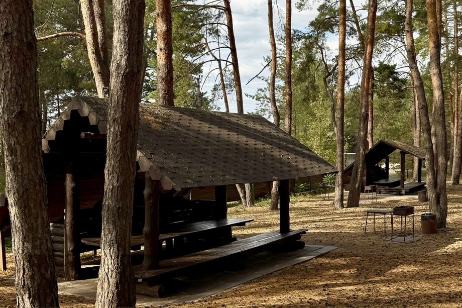 Отдых в беседках на территории базы отдыха «Аркадия» в сосновом бору
