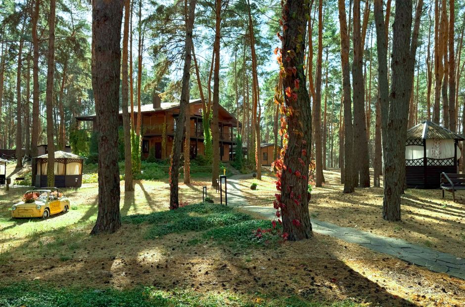 Прогулочная зона базы отдыха "Аркадия" - сосны, дорожка и беседки в солнечном лесу